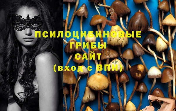 стафф Богданович