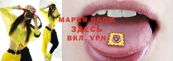 соль ск Пересвет