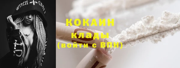 стафф Богданович