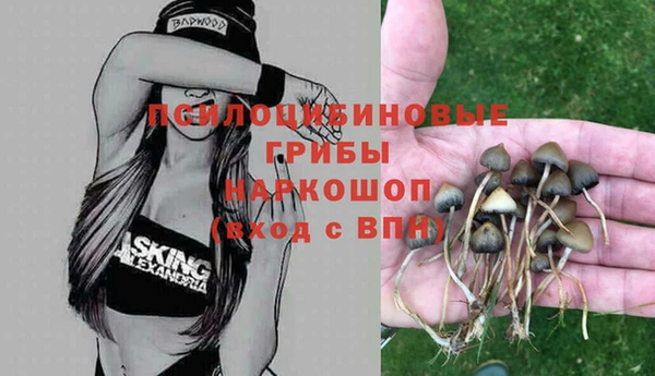 гашиш Богородск