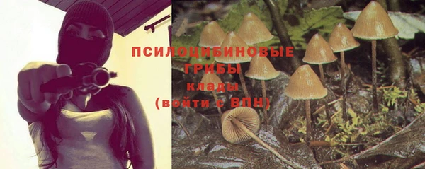 стафф Богданович