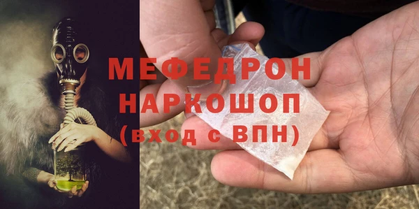 стафф Богданович