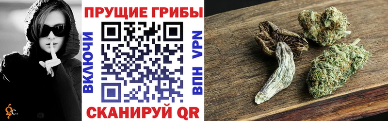 blacksprut как войти  Ижевск  shop клад  Псилоцибиновые грибы ЛСД 